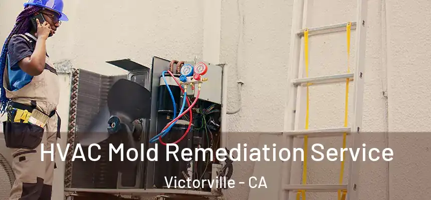  HVAC Mold Remediation Service Victorville - CA