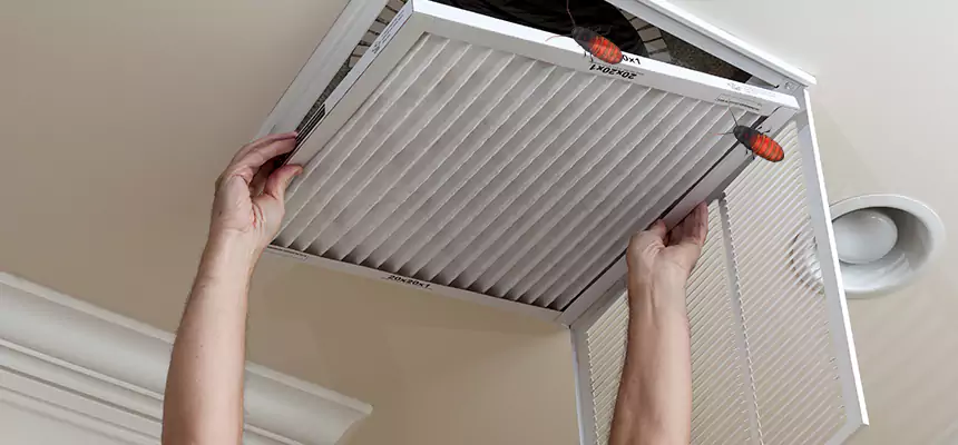 Preventive Cockroach-Proofing for Ducts in Victorville
