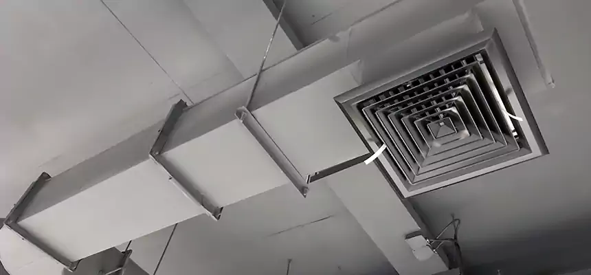 Our Pest Removal From Ducts Services in Victorville, CA