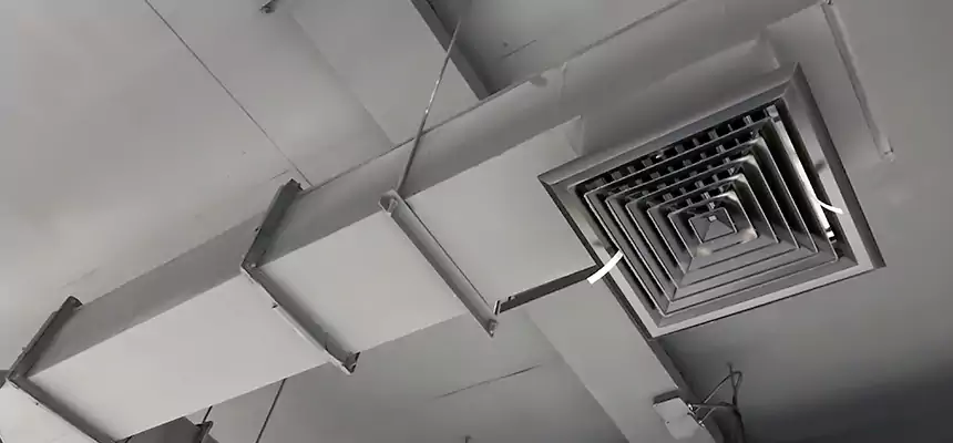 Our Rodent Droppings In Vents Services in Victorville, CA